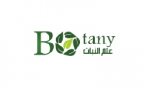 Doctoral Thesis Approval of the Researcher\ Shereen Ashmawy Fottouh