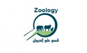 Doctoral Degree Approval of the Researcher \ El Sayed Farag El Sayed Farag