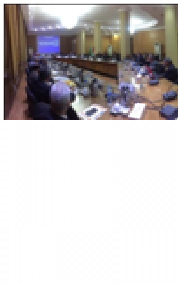 The Faculty of Science chooses the Members of the Dean-electing Committee