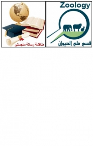 Master thesis discussion of researcher / Nermin Khalid Khalil Muhammad