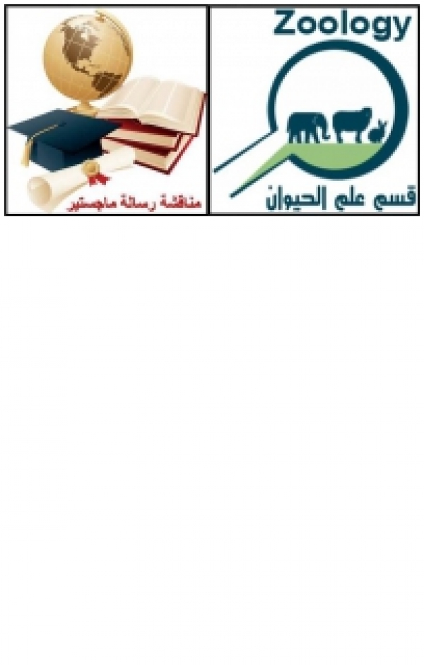 Master thesis discussion of researcher / Nermin Khalid Khalil Muhammad