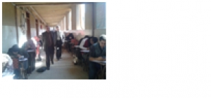 Making sure that the exams are up and running at the faculty of science