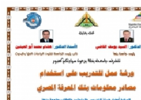 A workshop about the Egyptian knowledge bank